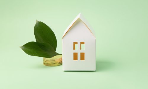 Concept of green tax credit - little house with coins near it and green leafs.
