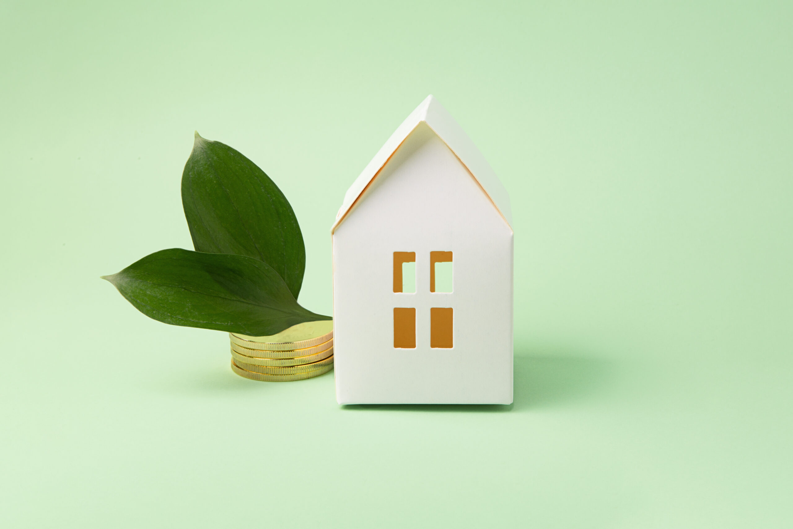 Concept of green tax credit - little house with coins near it and green leafs.